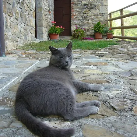 Bed & Breakfast Castello Malaspina Di Gambaro Ferriere