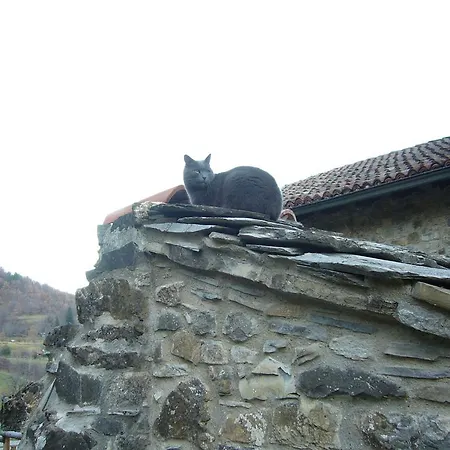 Oda ve Kahvaltı Castello Malaspina Di Gambaro Ferriere