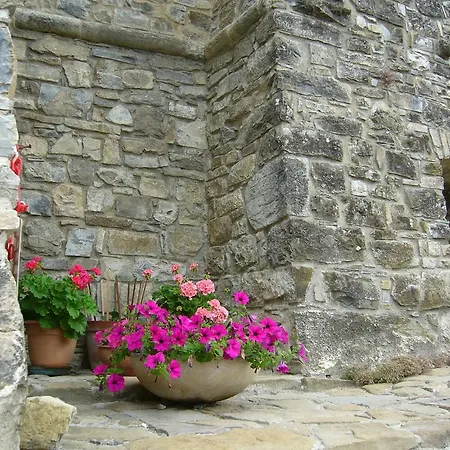 Castello Malaspina Di Gambaro