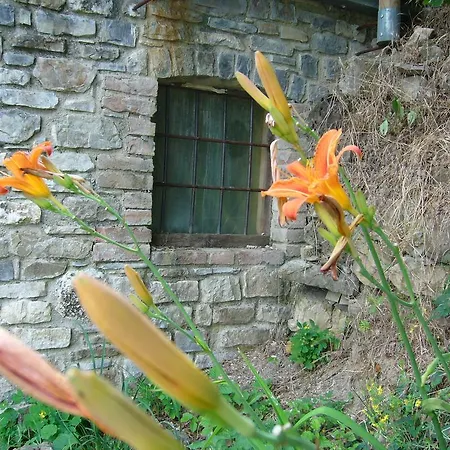 Castello Malaspina Di Gambaro Ferriere