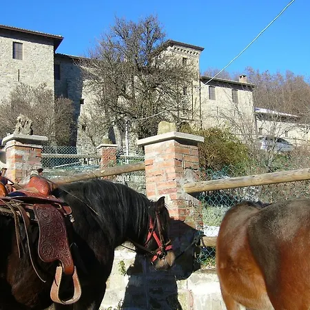 Castello Malaspina Di Gambaro Ferriere