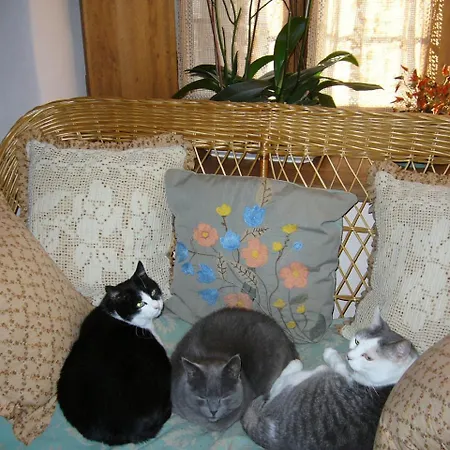 Bed & Breakfast Castello Malaspina Di Gambaro Ferriere