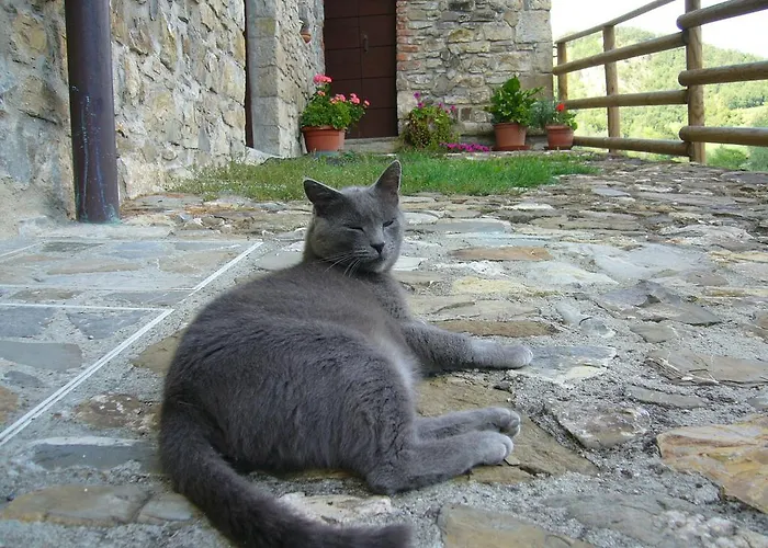 Bed & Breakfast Castello Malaspina Di Gambaro Ferriere