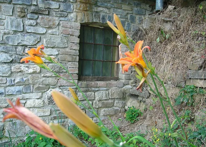 Castello Malaspina Di Gambaro Ferriere