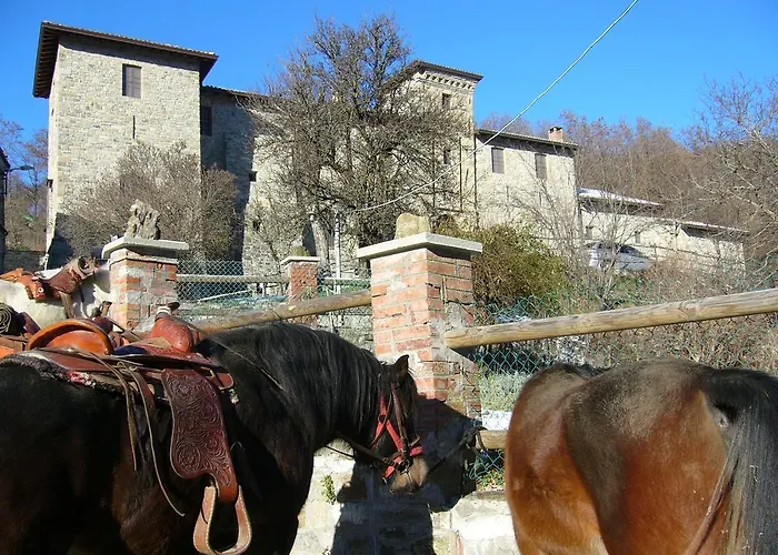 Castello Malaspina Di Gambaro Ferriere